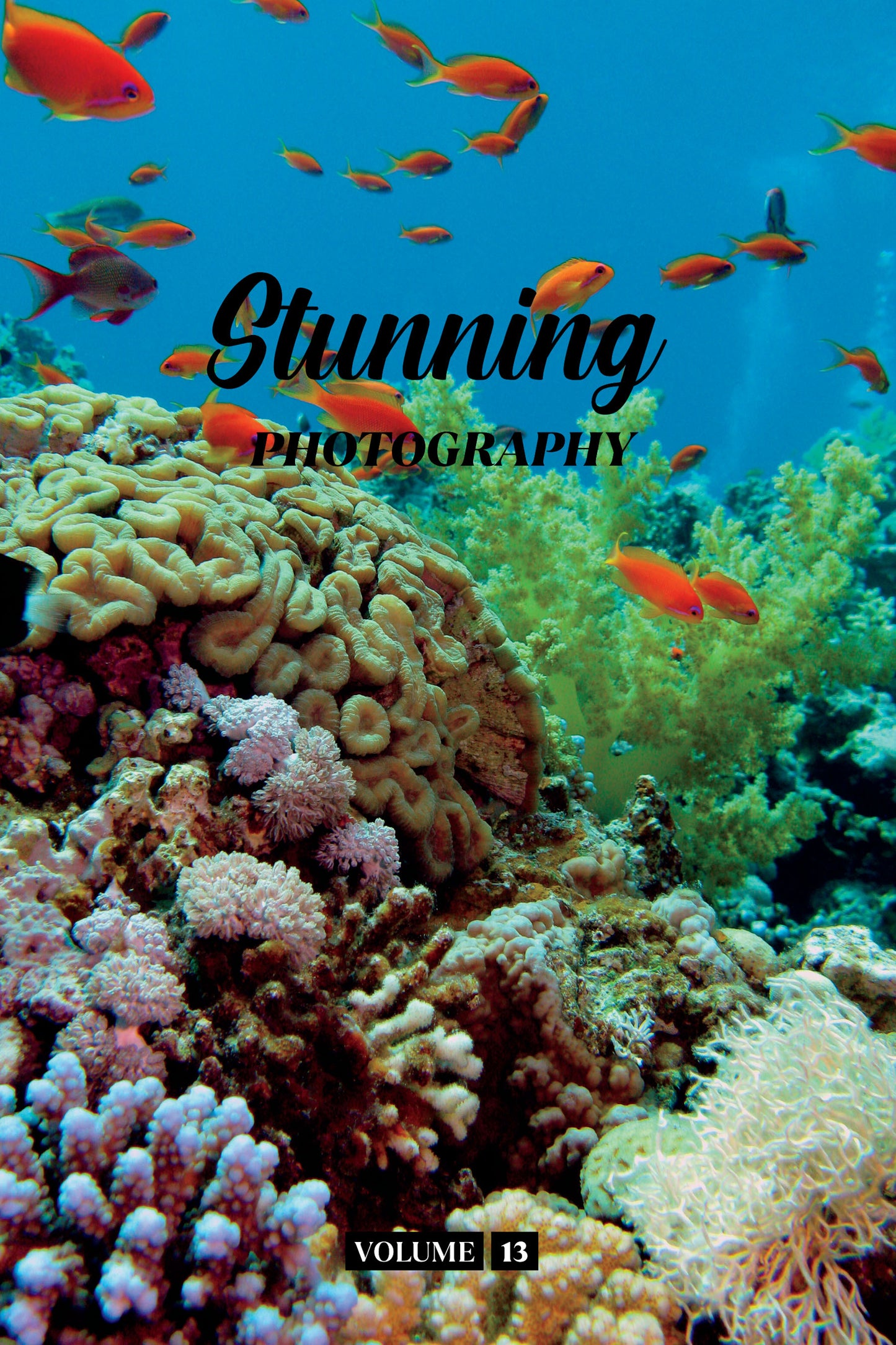 Stunning Photography Volume 13 (Physical Book)