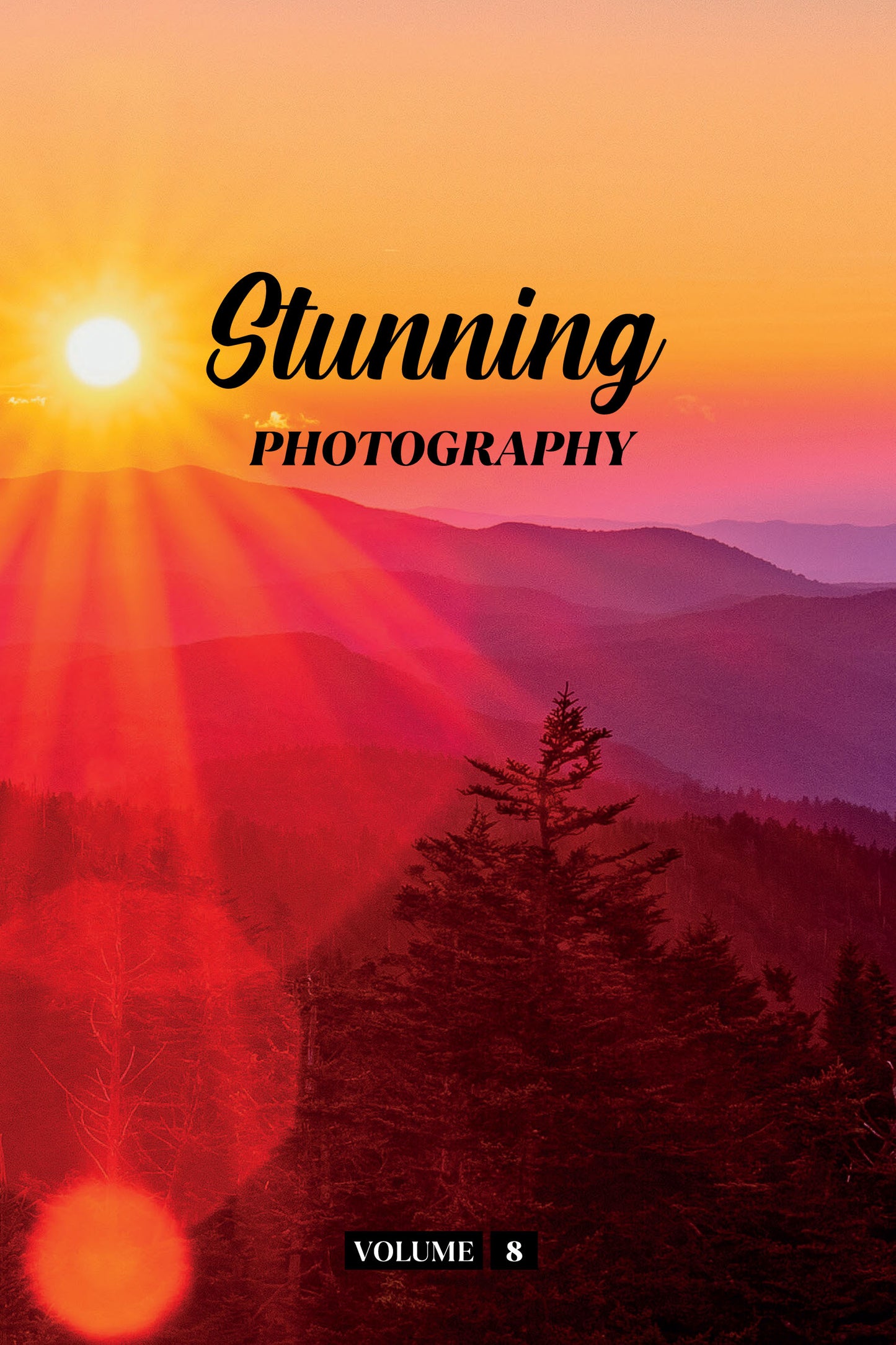 Stunning Photography Volume 8 (Physical Book)