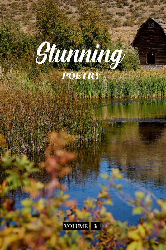 Stunning Poetry (Volume 3) - Physical Book (Pre-Order)