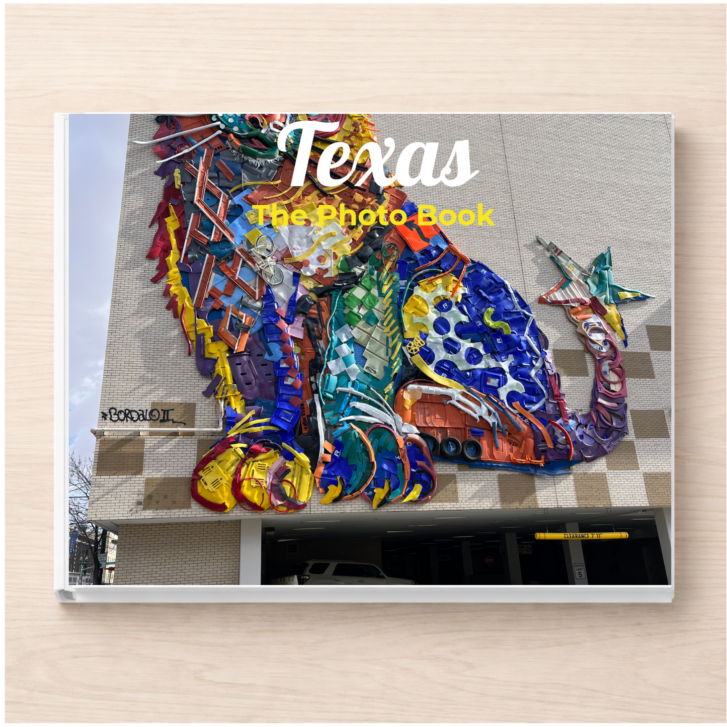 Texas: The Photo Book