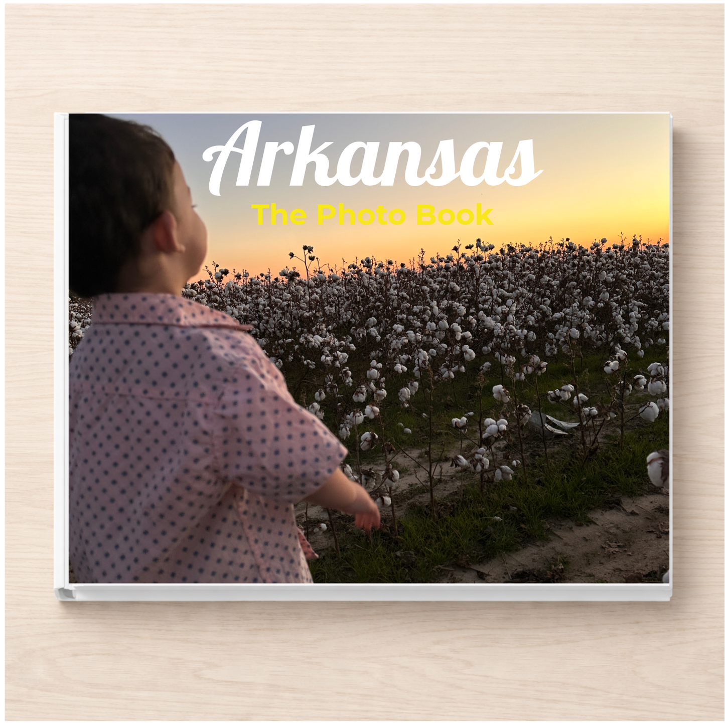 Arkansas: The Photo Book
