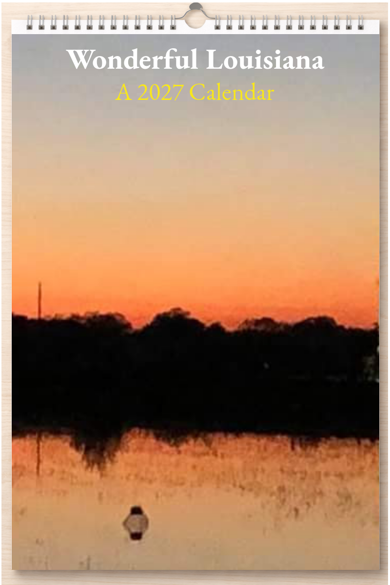 Wonderful Louisiana: A 2027 Calendar