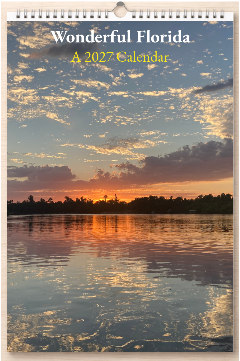 Wonderful Florida: A 2027 Calendar