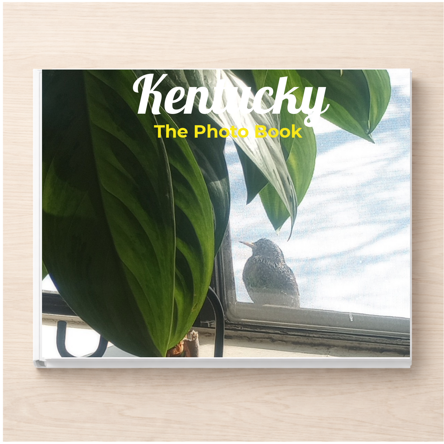 Kentucky: The Photo Book