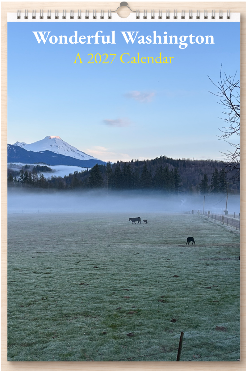 Wonderful Washington: A 2027 Calendar
