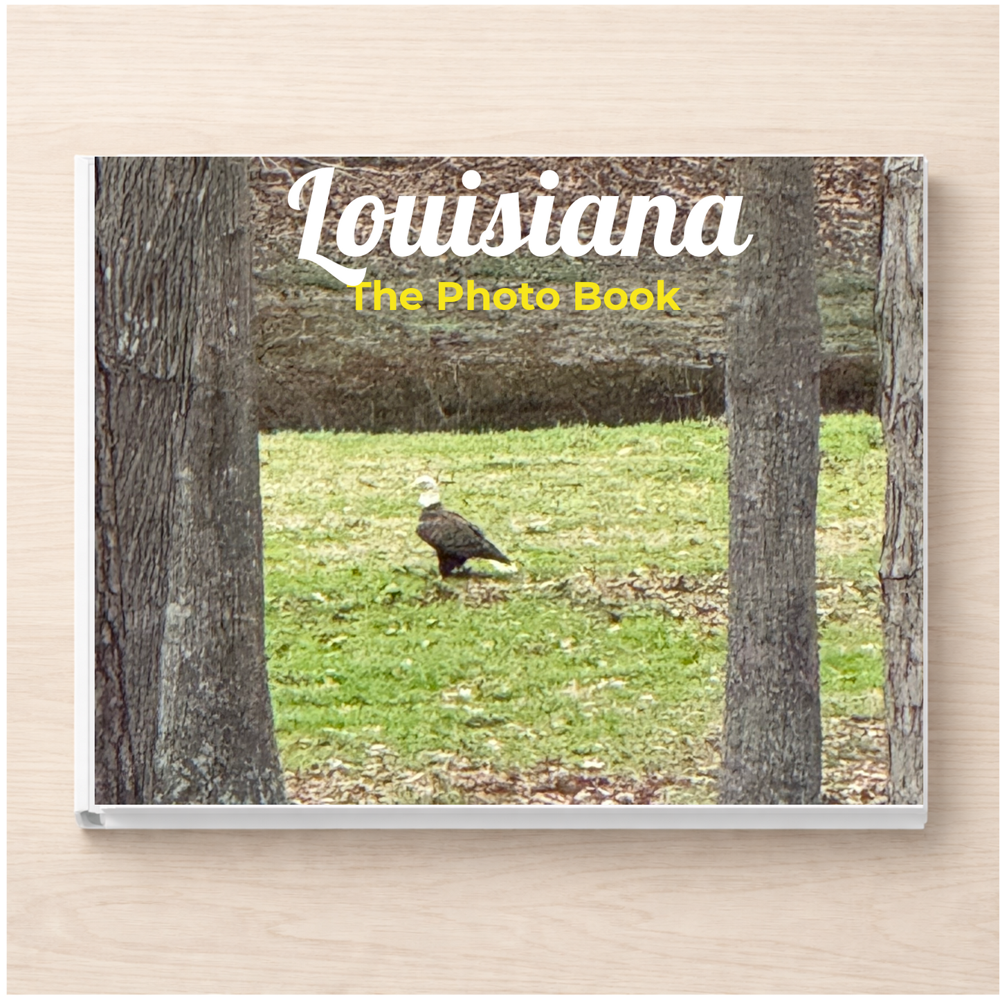 Louisiana: The Photo Book
