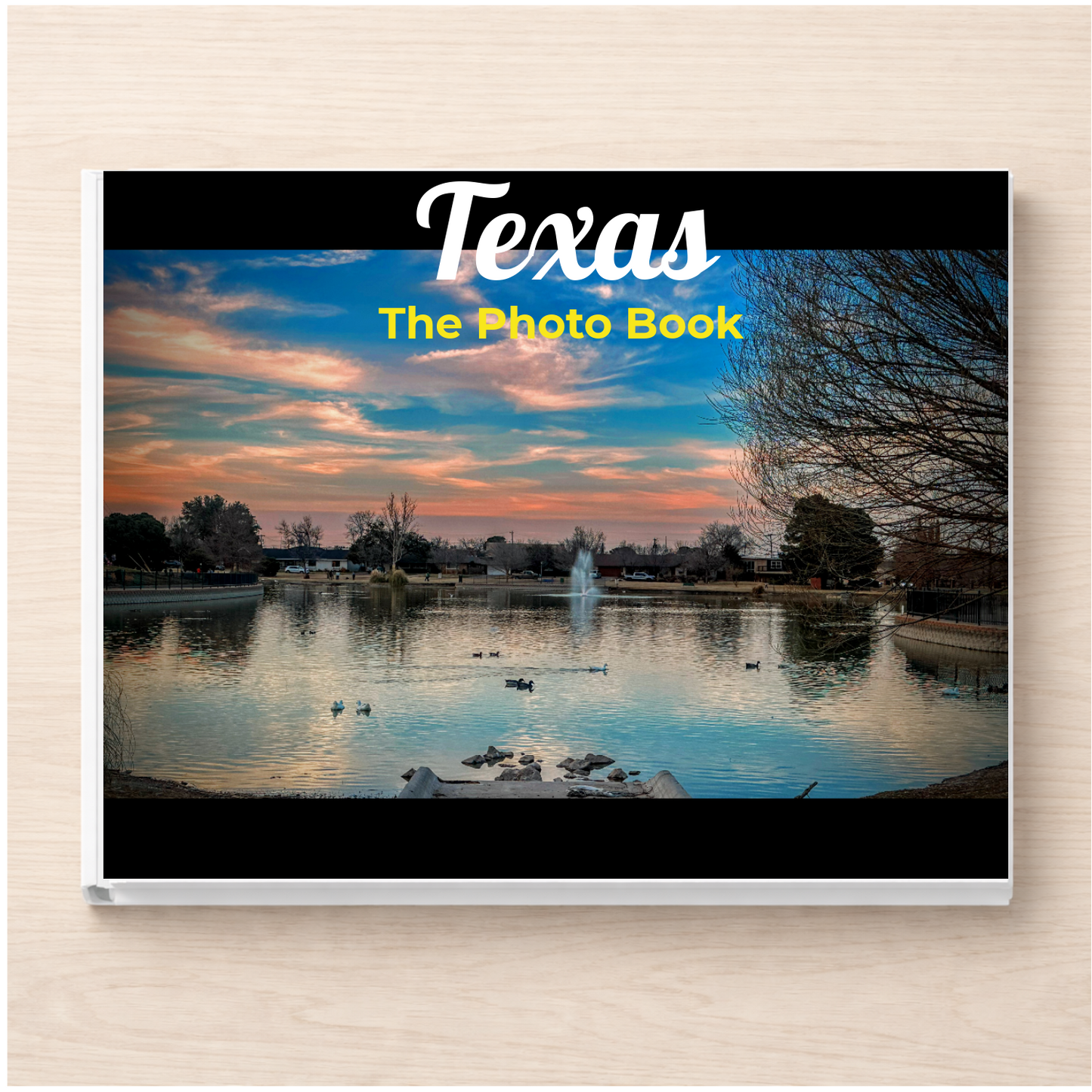 Texas: The Photo Book