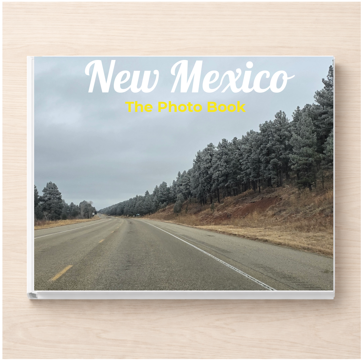 New Mexico: The Photo Book