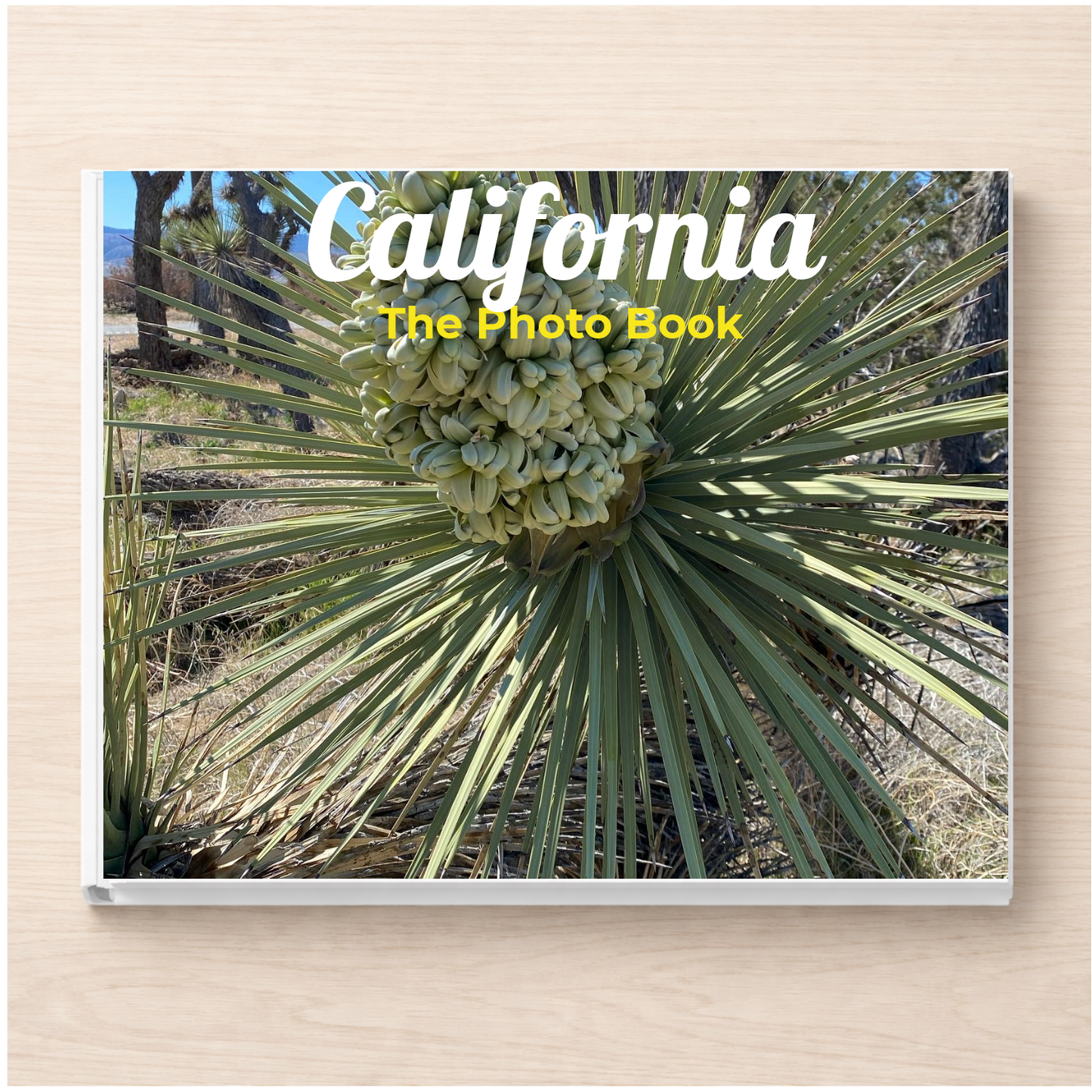 California: The Photo Book