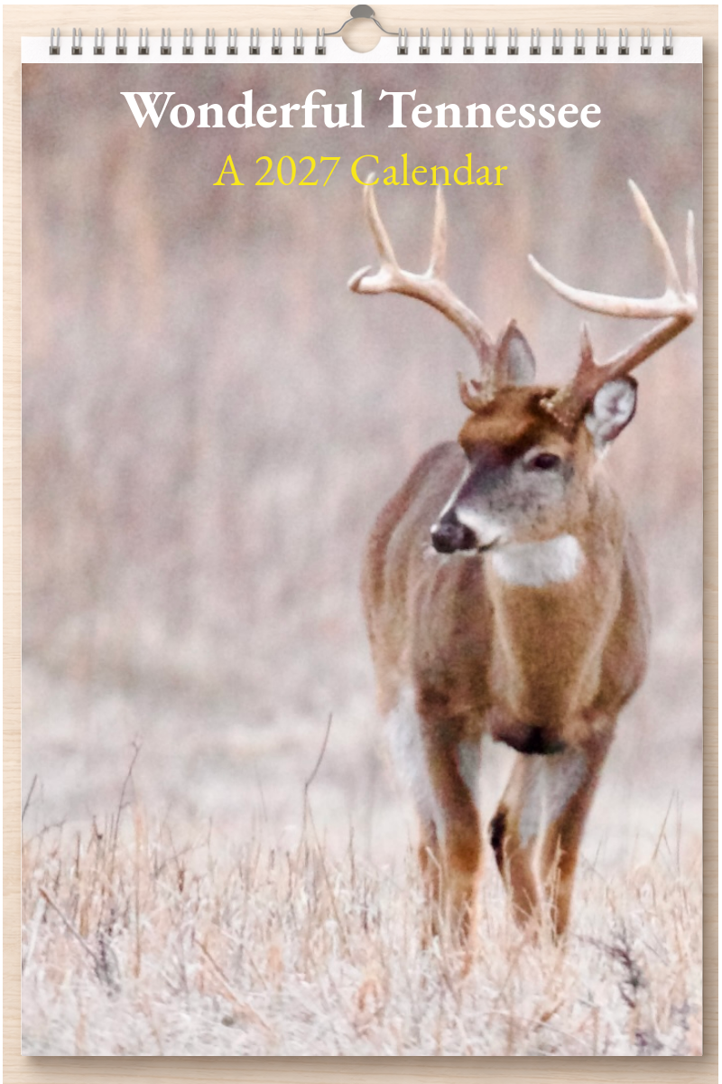 Wonderful Tennessee: A 2027 Calendar