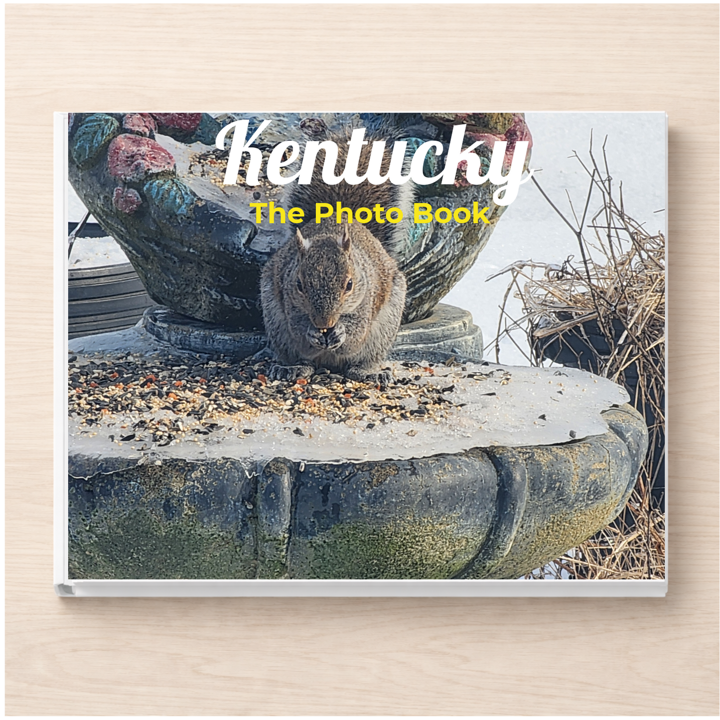 Kentucky: The Photo Book