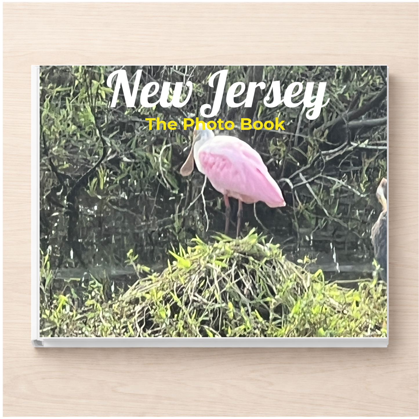 New Jersey: The Photo Book