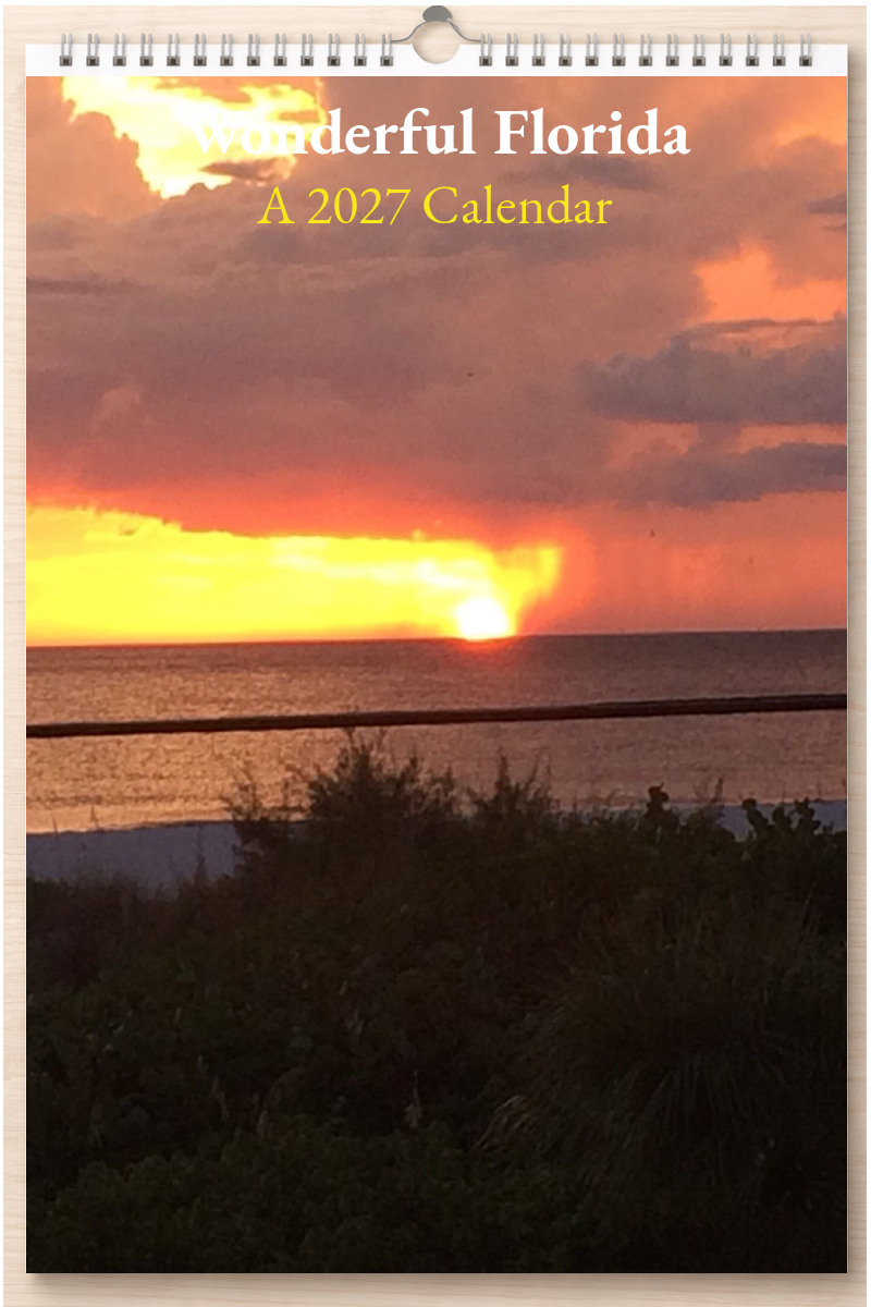 Wonderful Florida: A 2027 Calendar