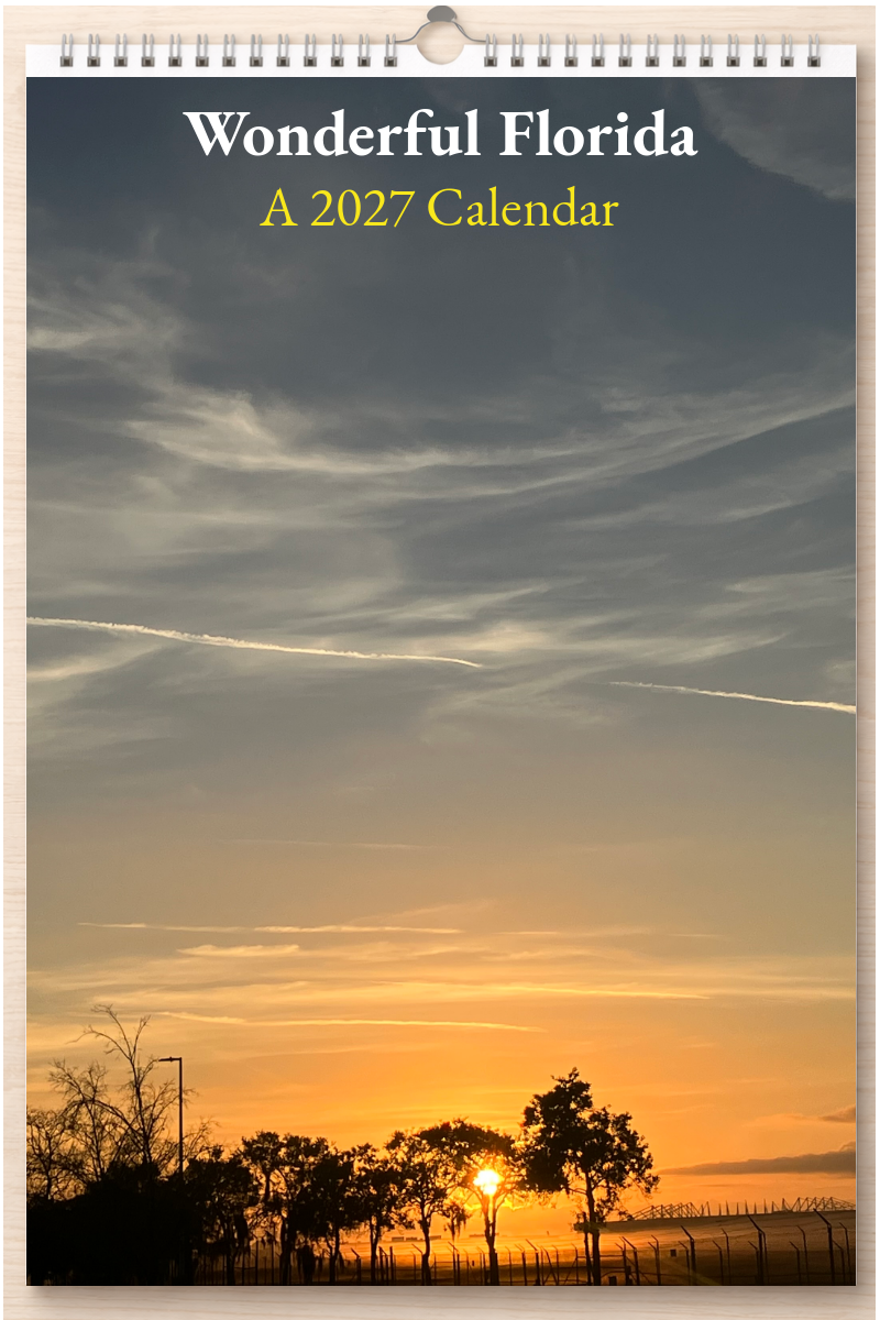 Wonderful Florida: A 2027 Calendar