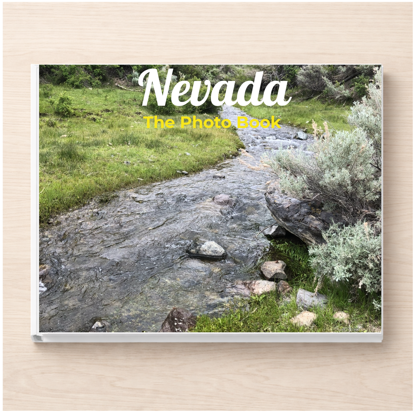 Nevada: The Photo Book