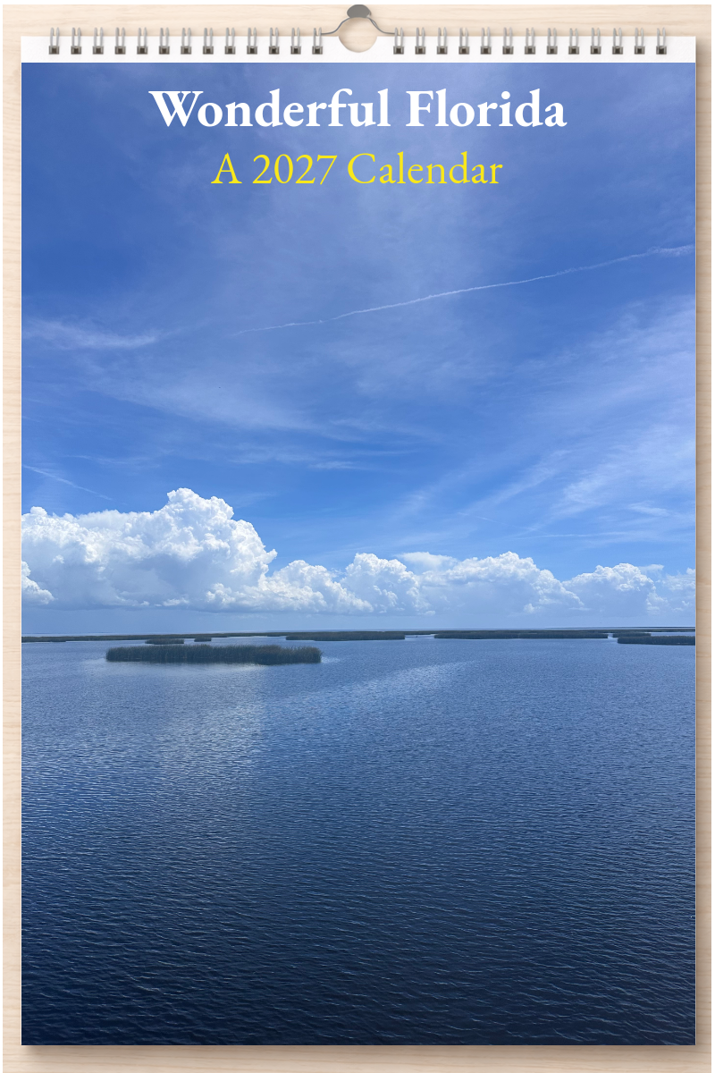 Wonderful Florida: A 2027 Calendar
