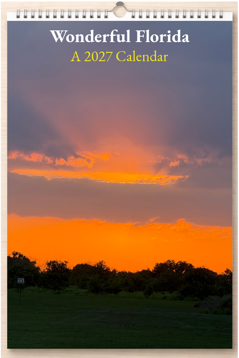 Wonderful Florida: A 2027 Calendar