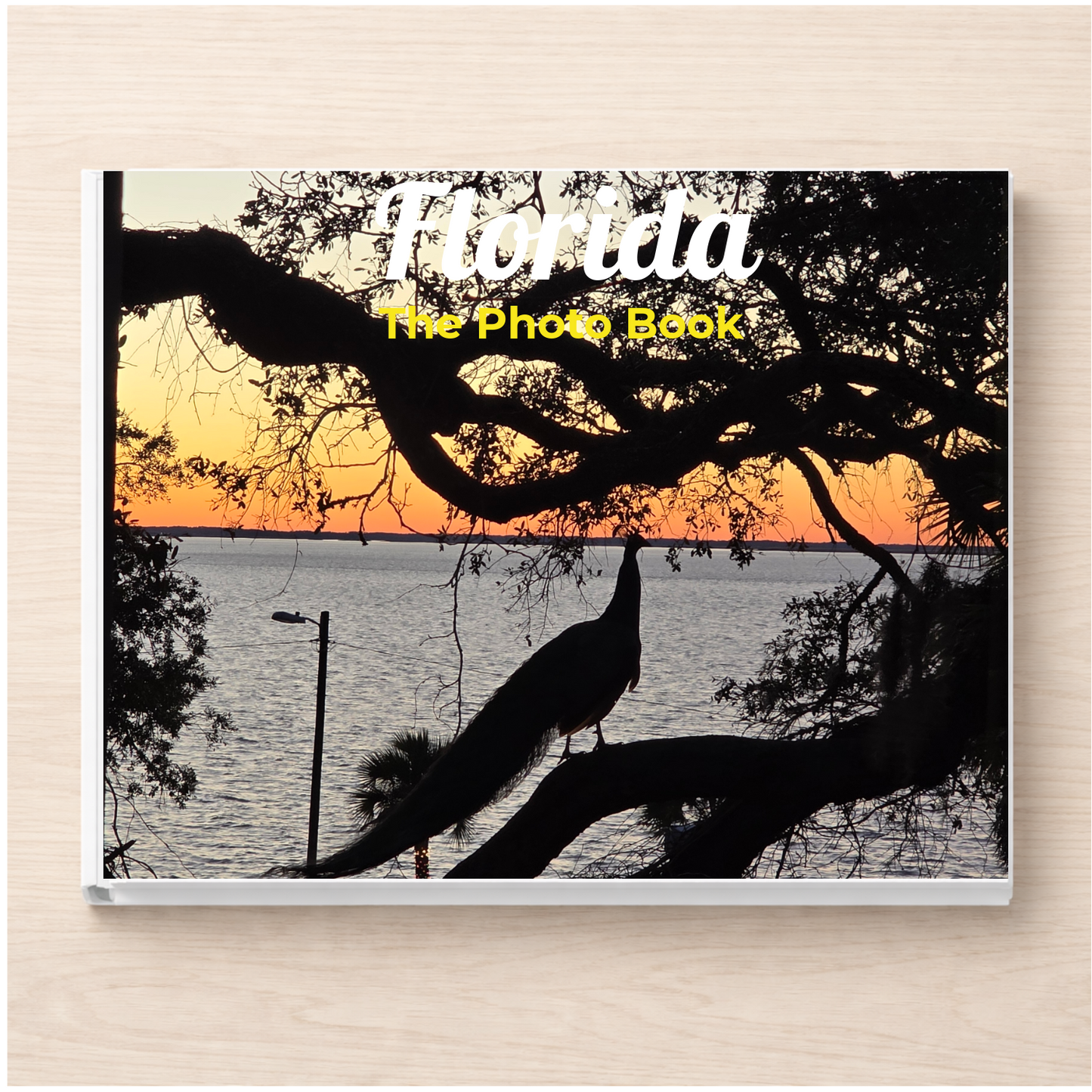 Florida: The Photo Book