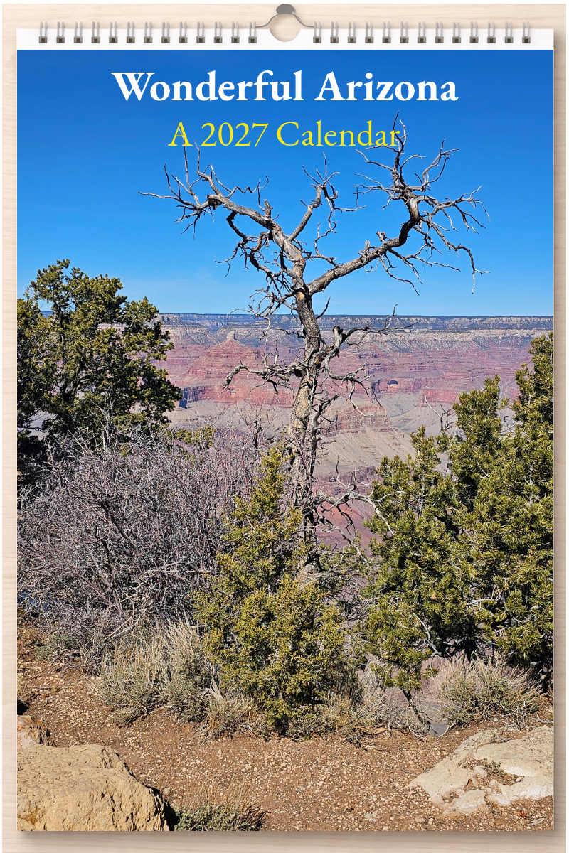 Wonderful Arizona: A 2027 Calendar