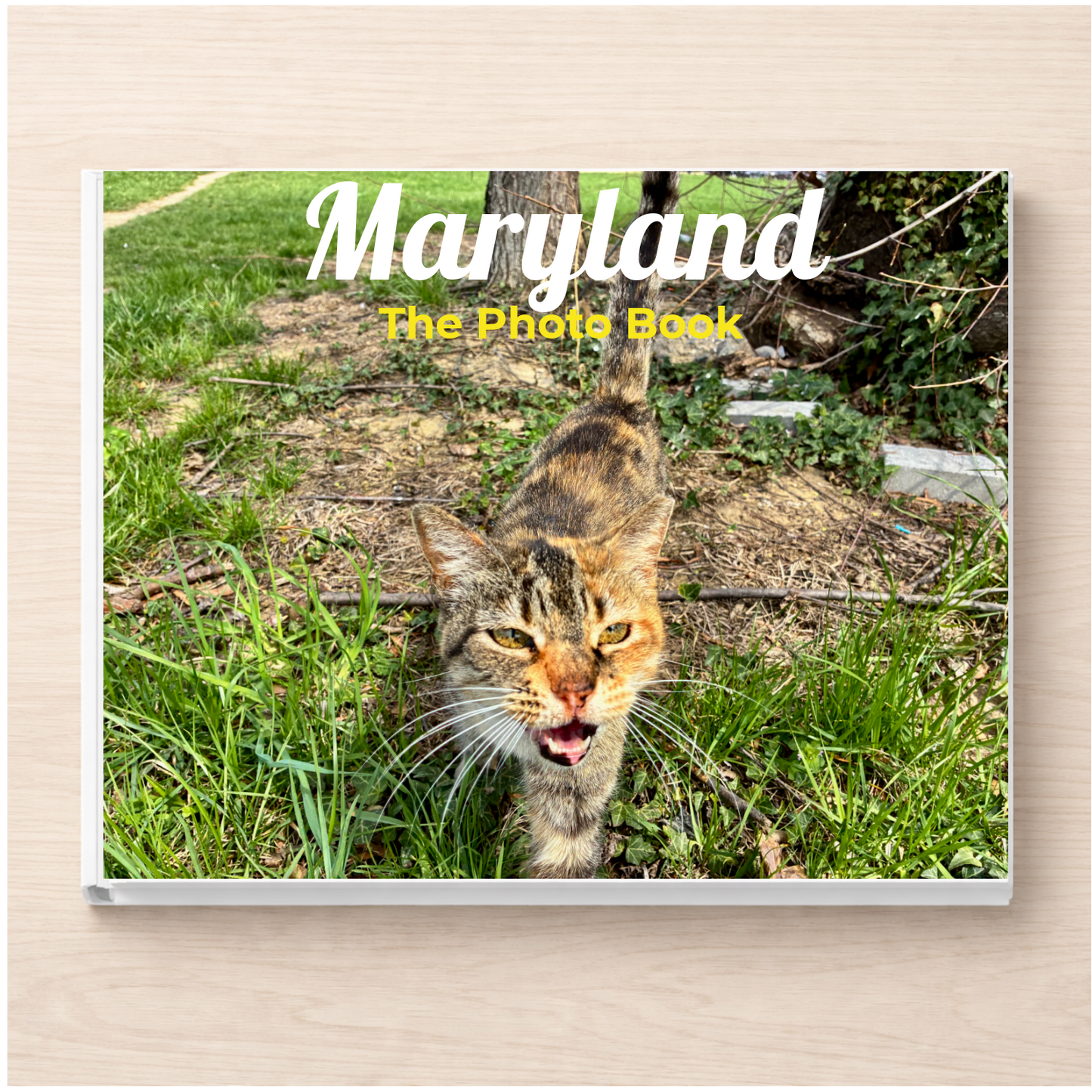 Maryland: The Photo Book