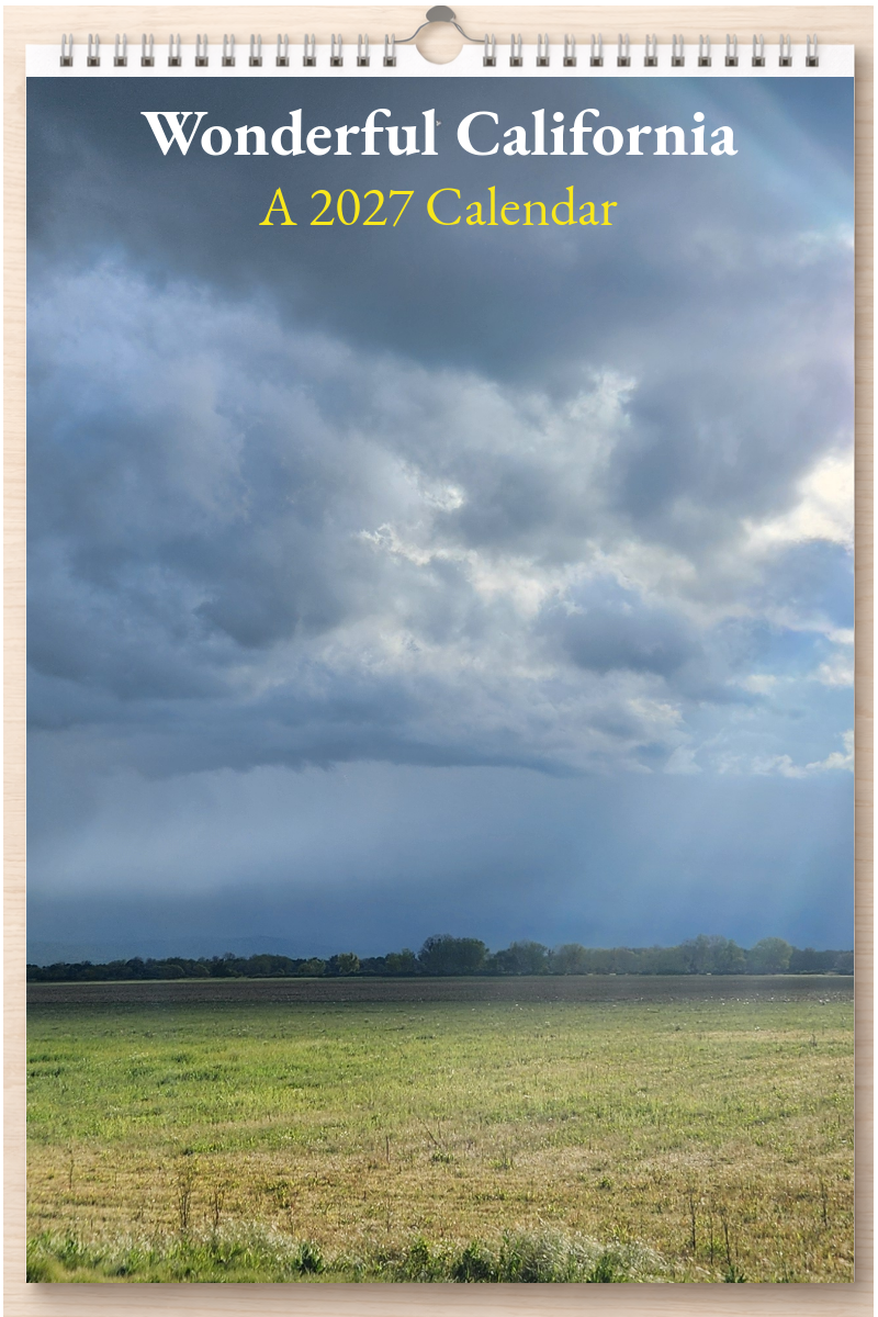 Wonderful California: A 2027 Calendar