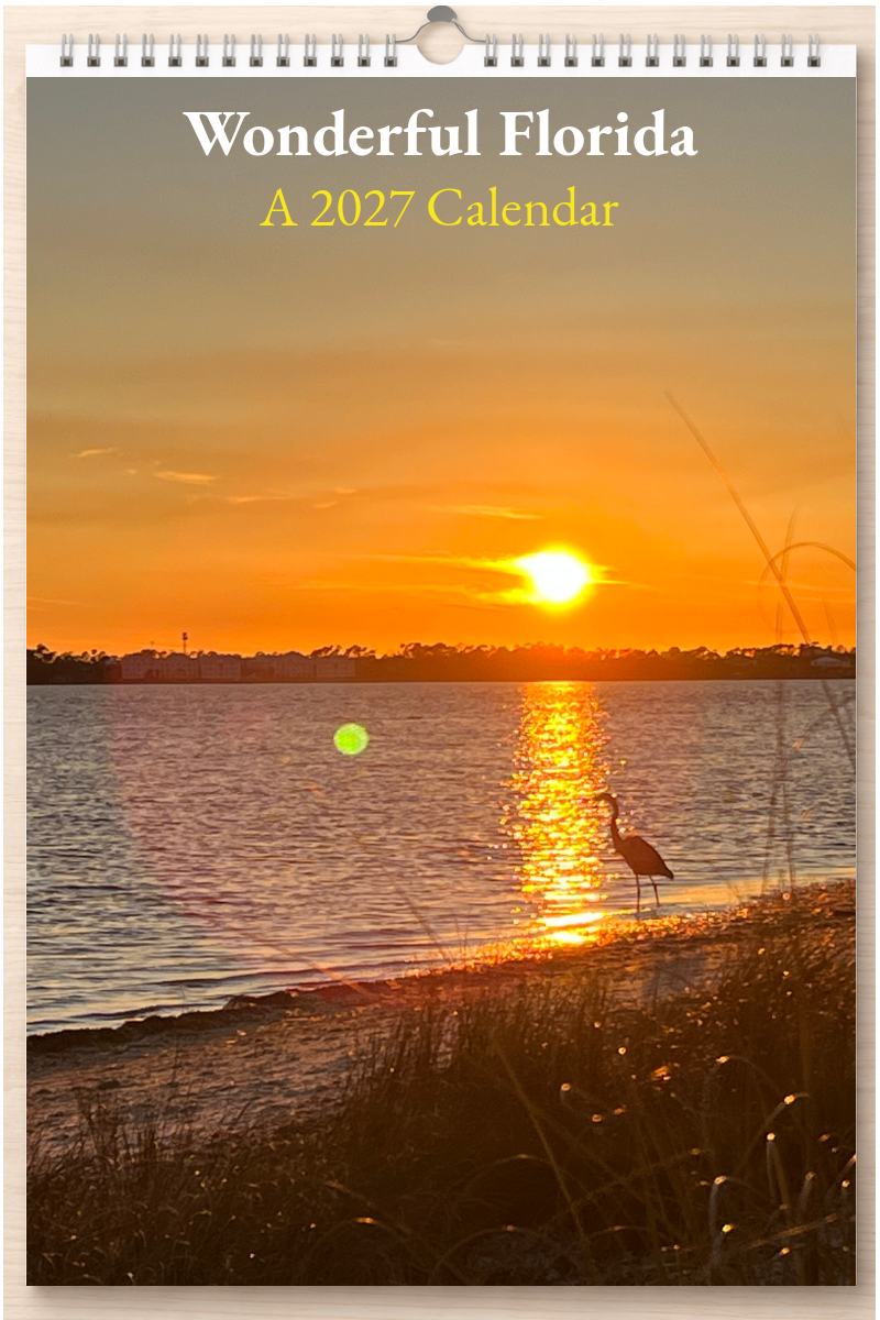 Wonderful Florida: A 2027 Calendar