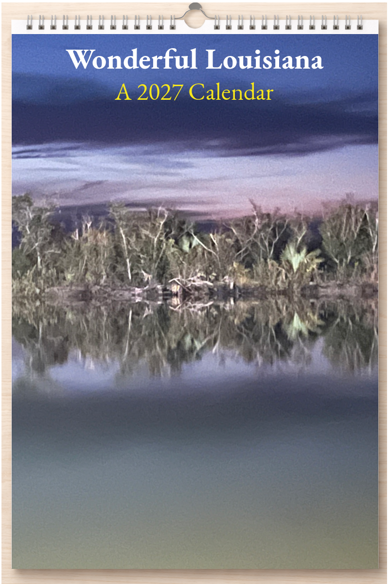 Wonderful Louisiana: A 2027 Calendar