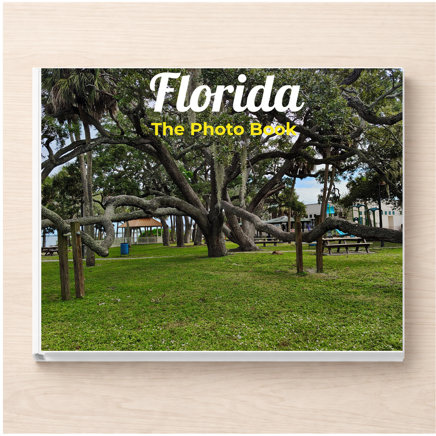 Florida: The Photo Book