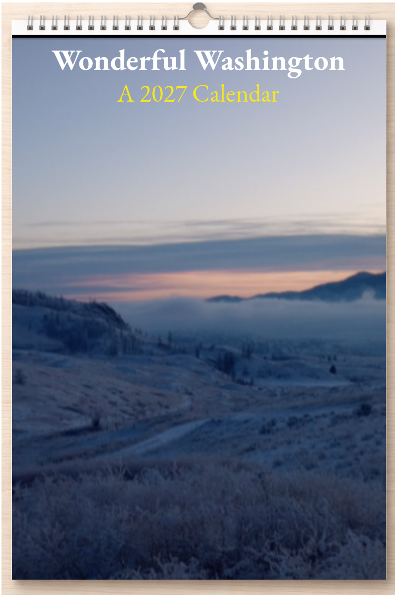 Wonderful Washington: A 2027 Calendar