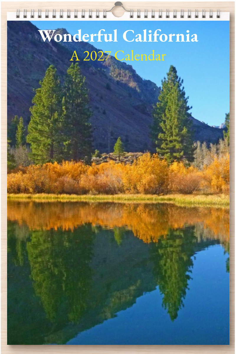 Wonderful California: A 2027 Calendar