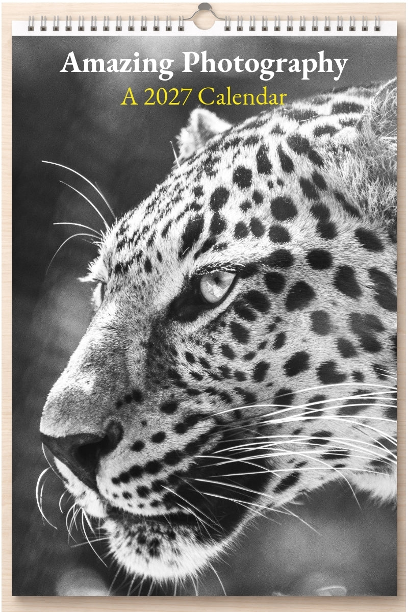 Amazing Photography: A 2027 Calendar