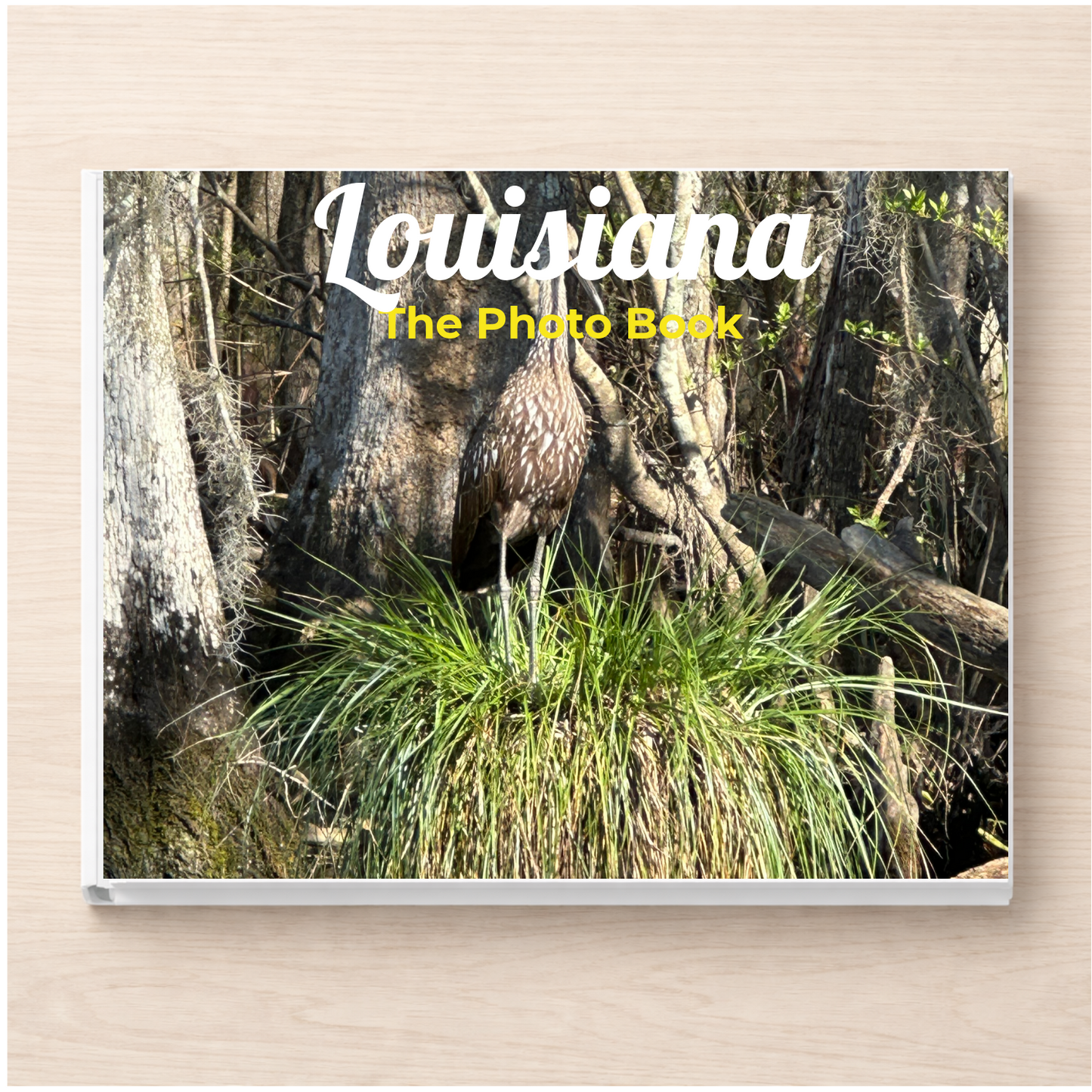 Louisiana: The Photo Book
