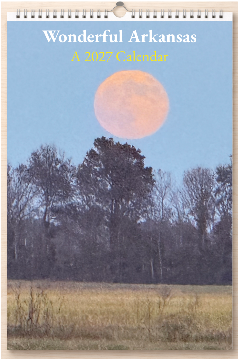 Wonderful Arkansas: A 2027 Calendar