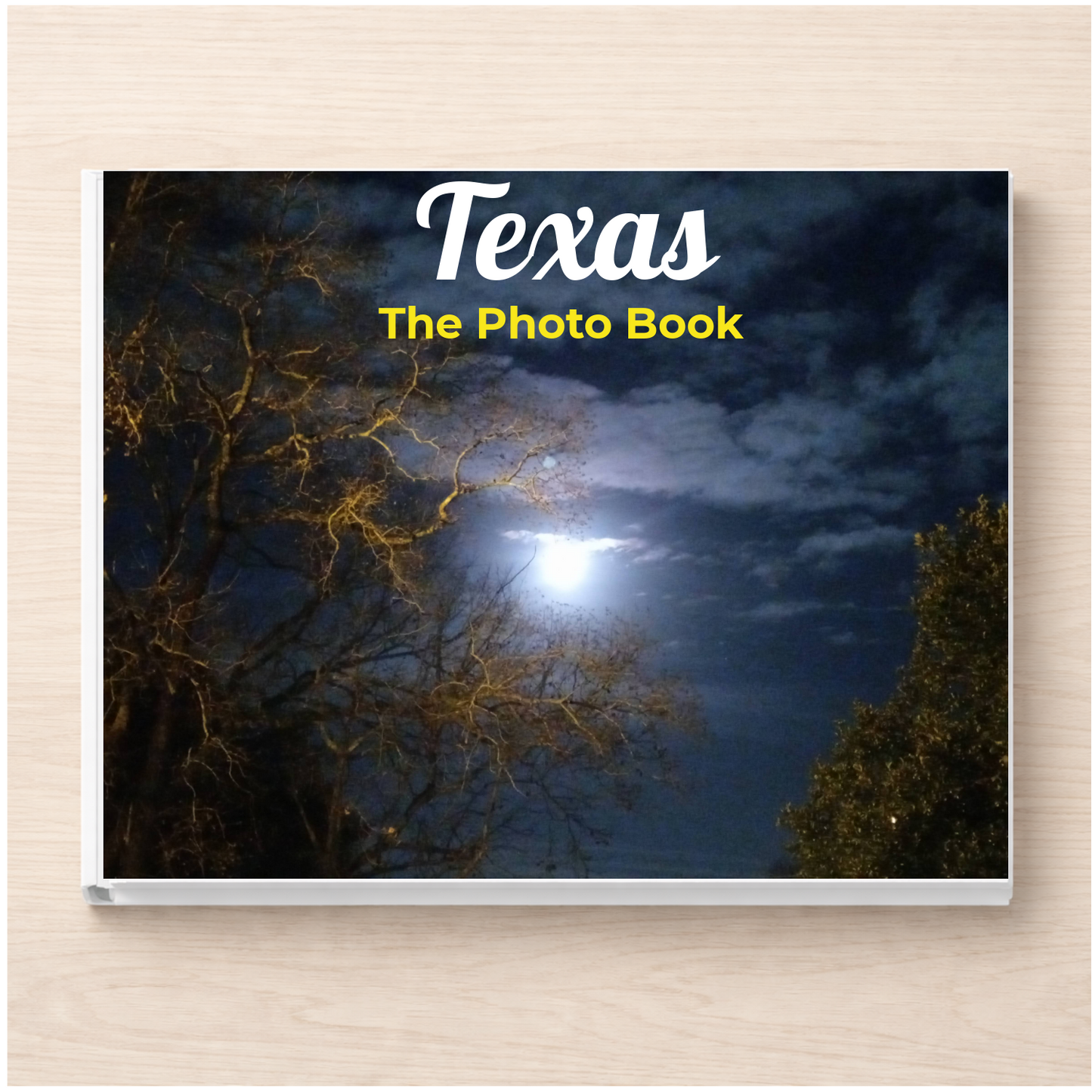 Texas: The Photo Book