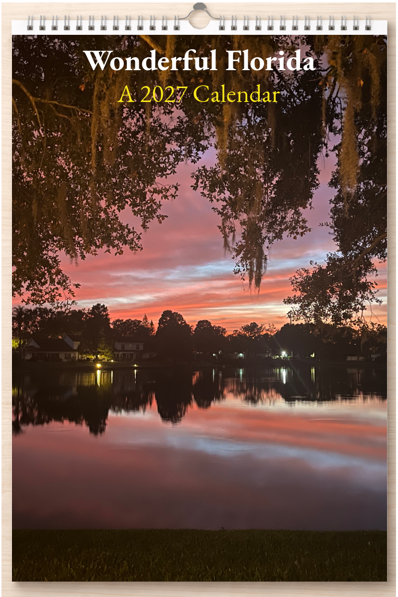 Wonderful Florida: A 2027 Calendar