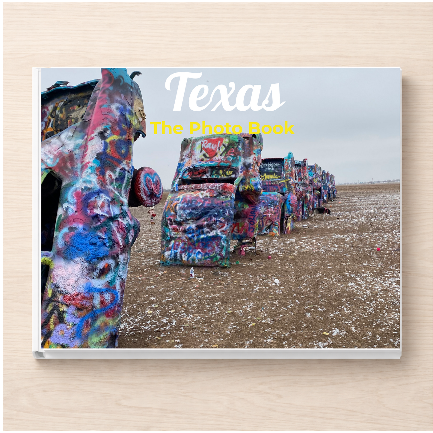 Texas: The Photo Book
