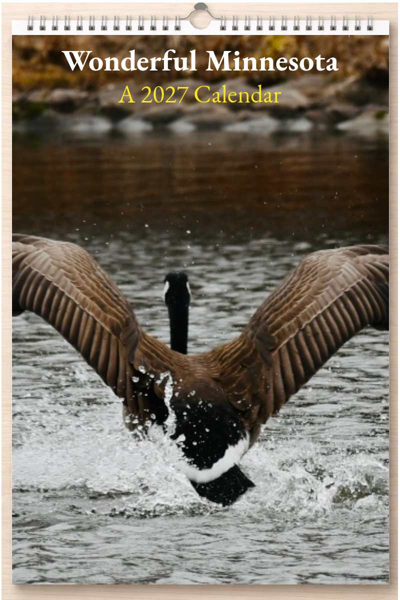 Wonderful Minnesota: A 2027 Calendar