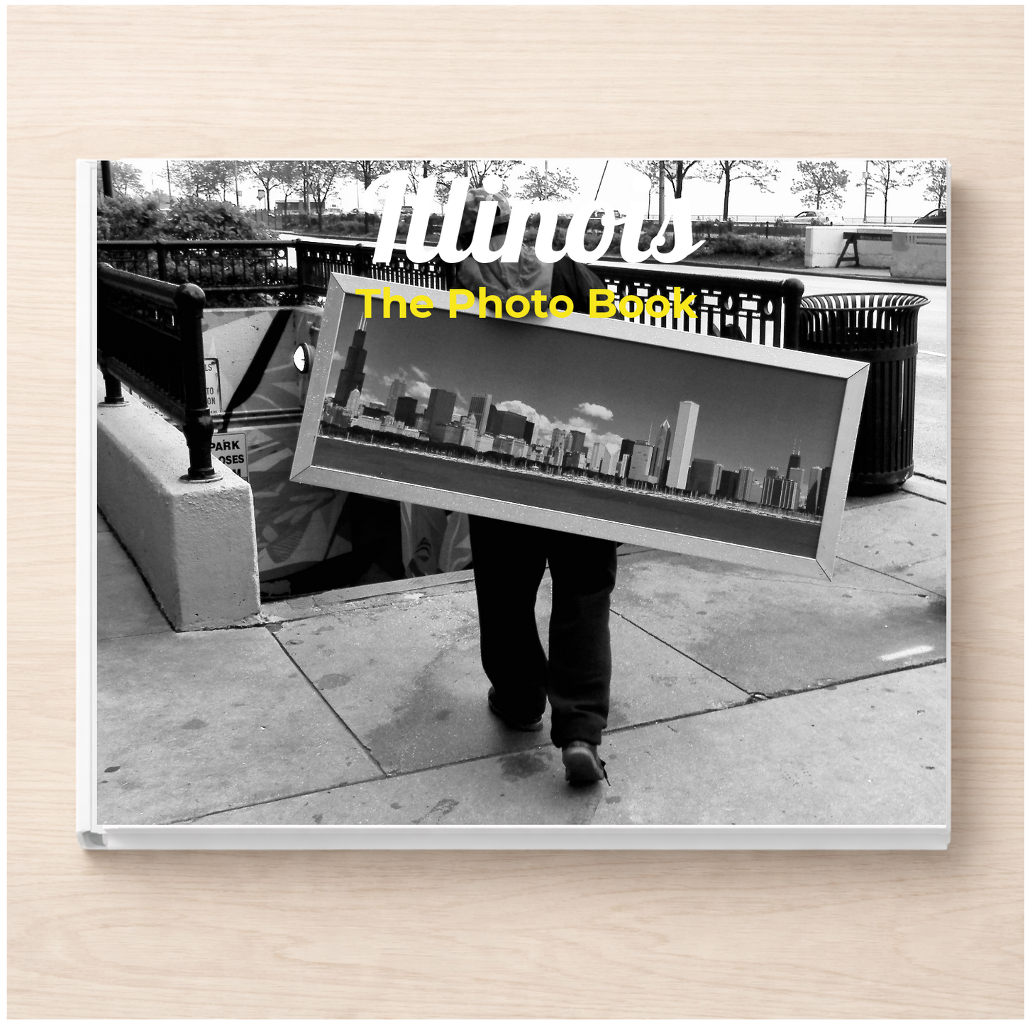 Illinois: The Photo Book