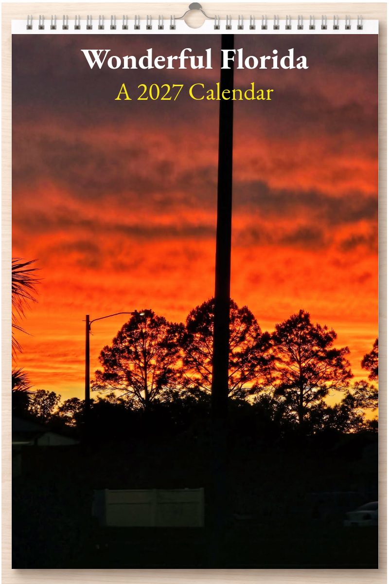 Wonderful Florida: A 2027 Calendar