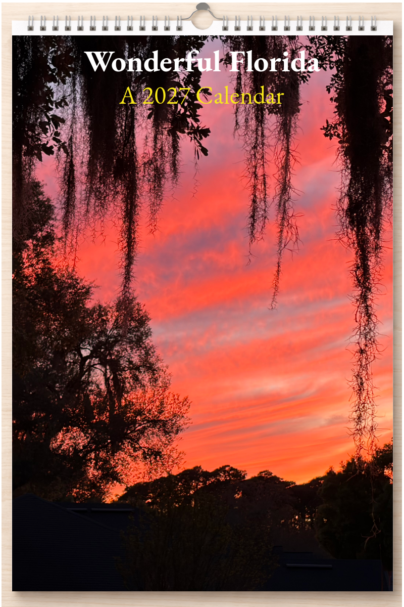 Wonderful Florida: A 2027 Calendar