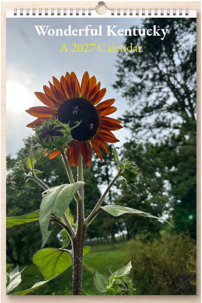 Wonderful Kentucky: A 2027 Calendar