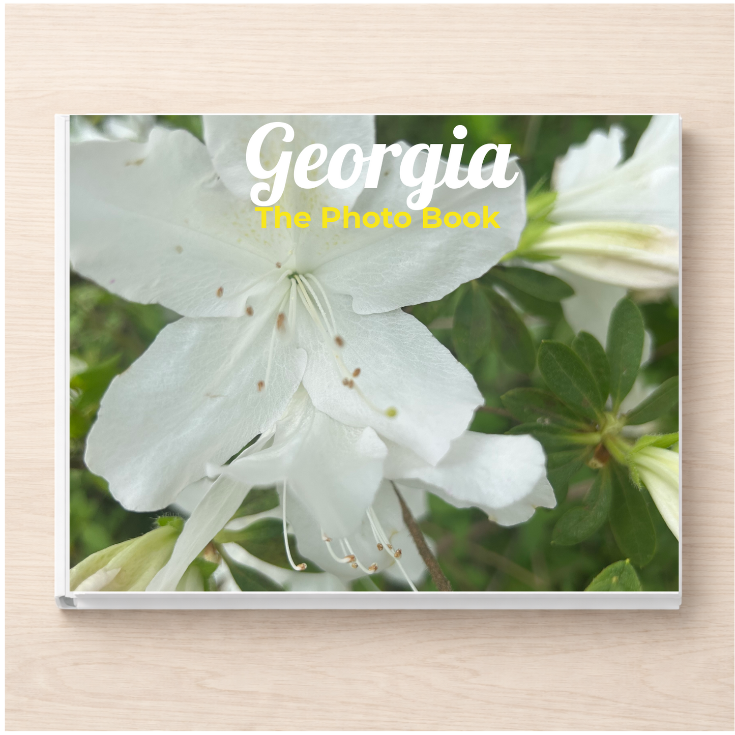 Georgia: The Photo Book