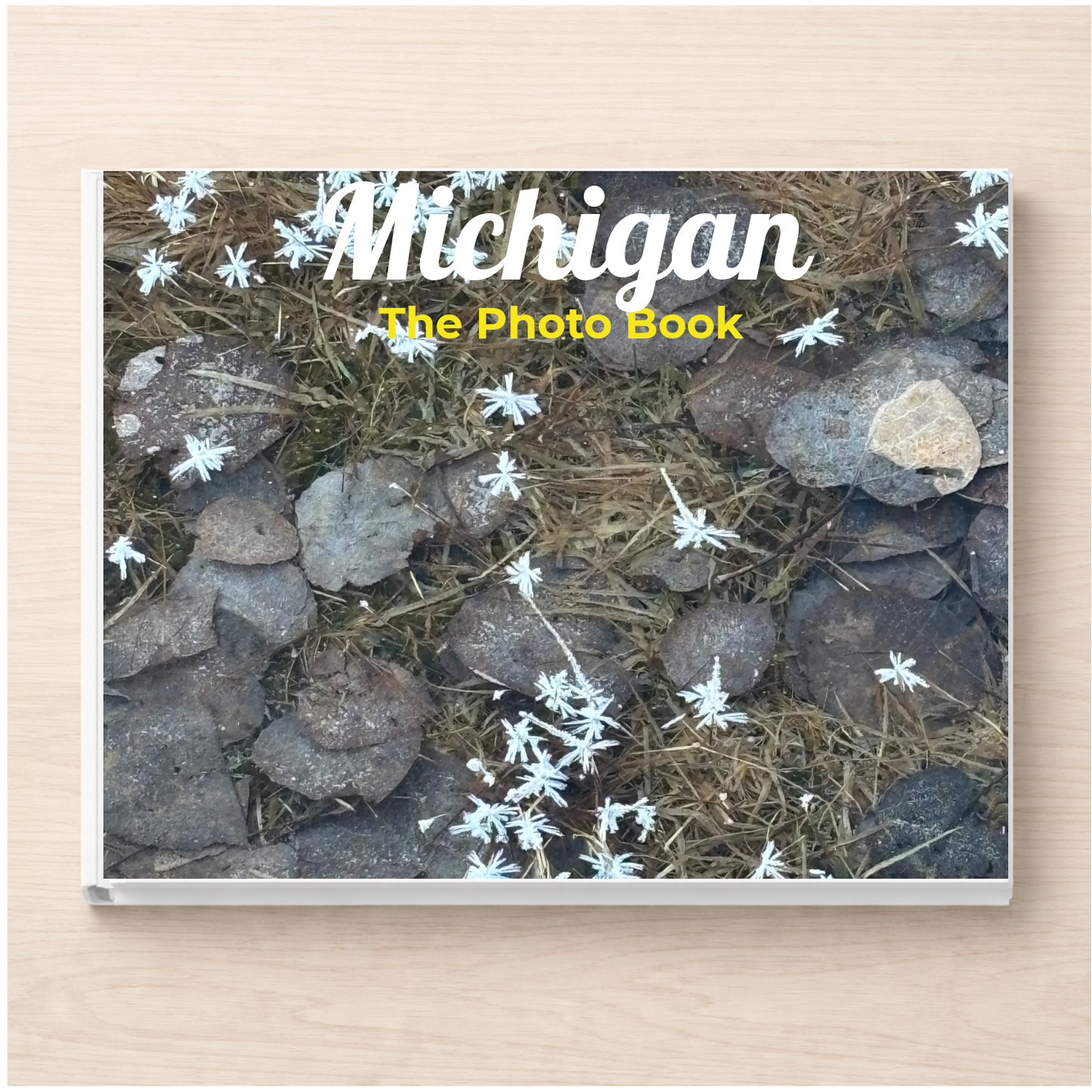 Michigan: The Photo Book