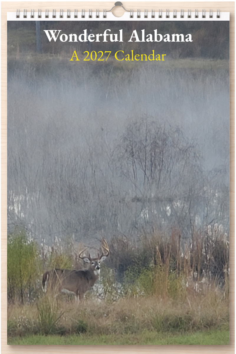 Wonderful Alabama: A 2027 Calendar