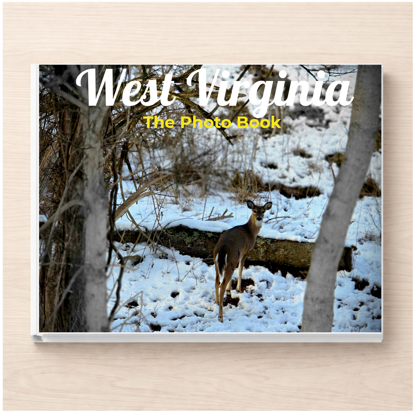 West Virginia: The Photo Book