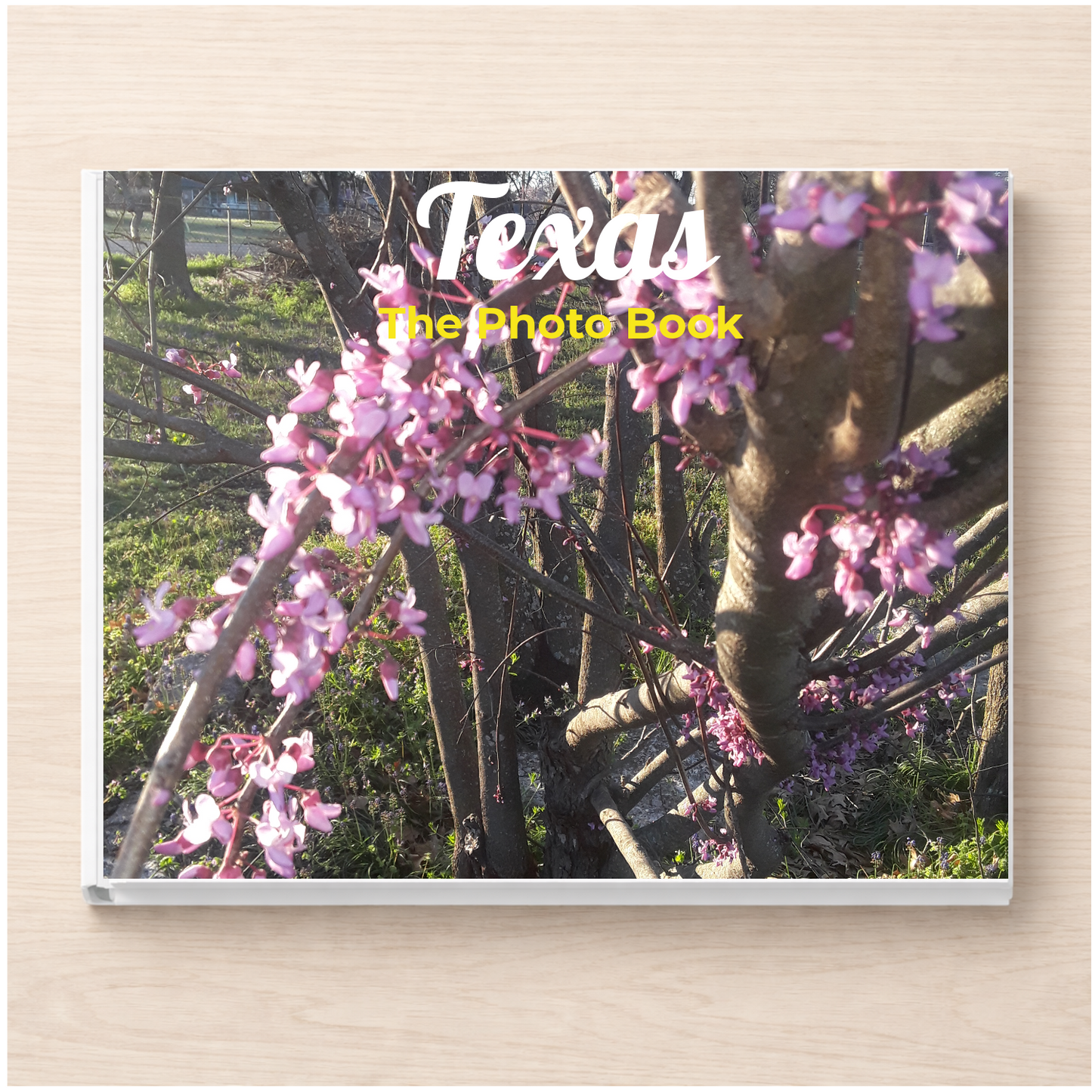 Texas: The Photo Book
