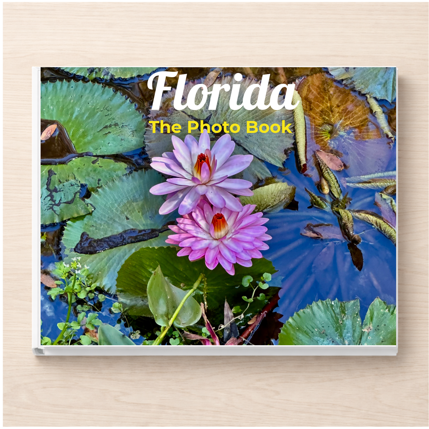Florida: The Photo Book
