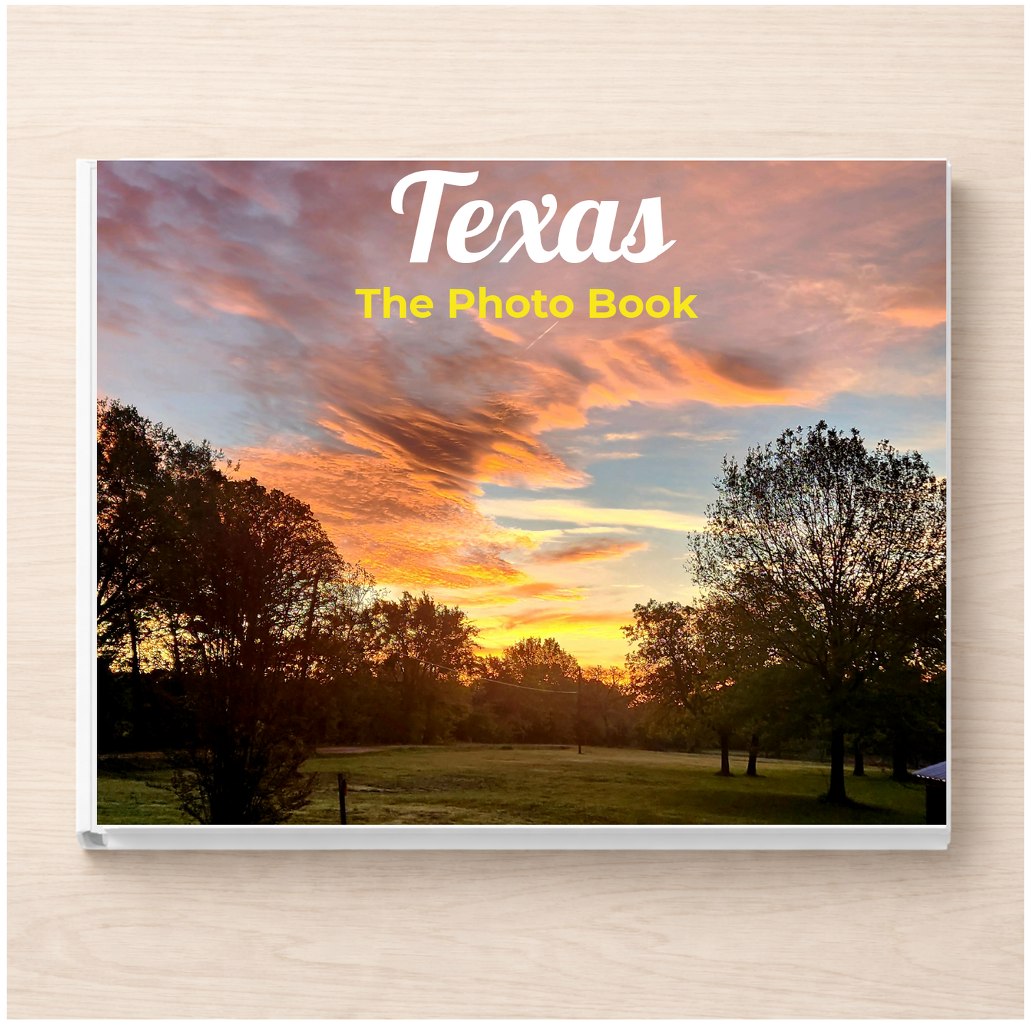 Texas: The Photo Book