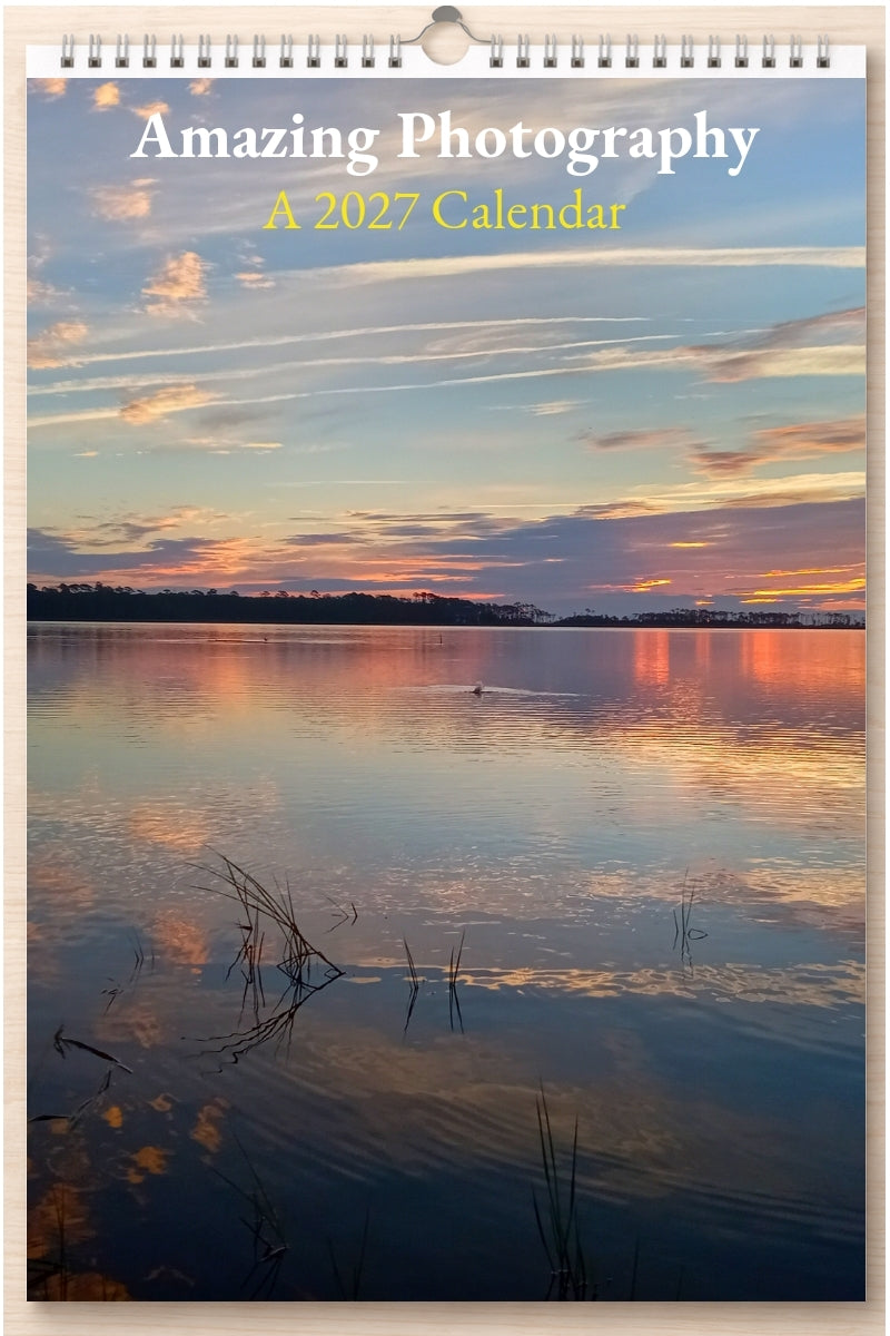 Amazing Photography: A 2027 Calendar