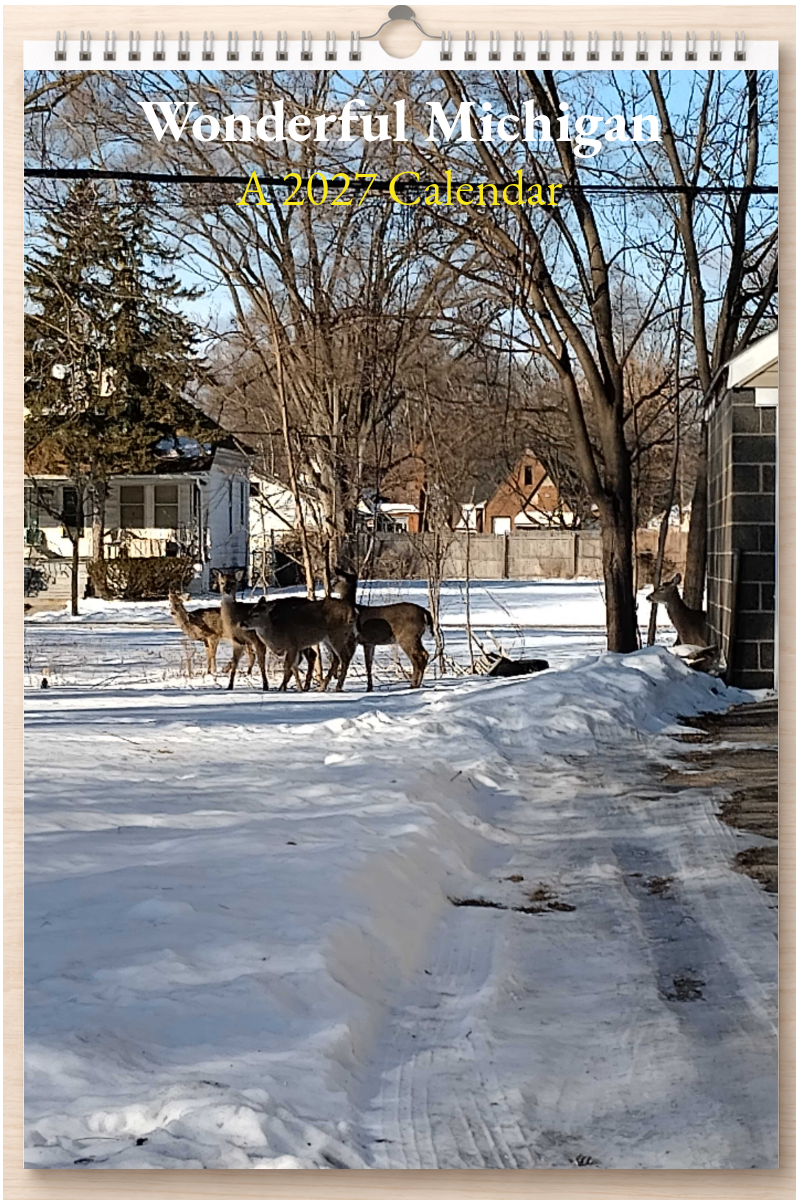 Wonderful Michigan: A 2027 Calendar